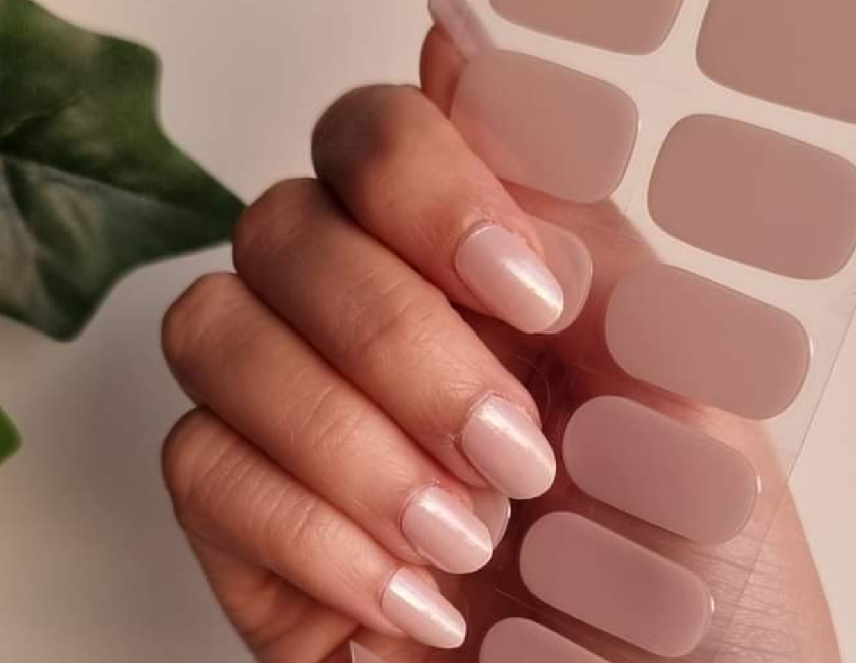 Neutral (Light Chrome Pink)